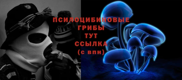 spice Михайлов