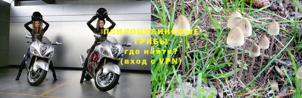 дмт Михайловка