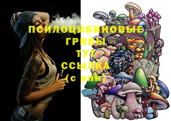 spice Михайлов